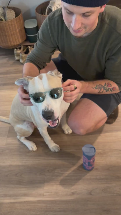 16oz Possum Travel Mug